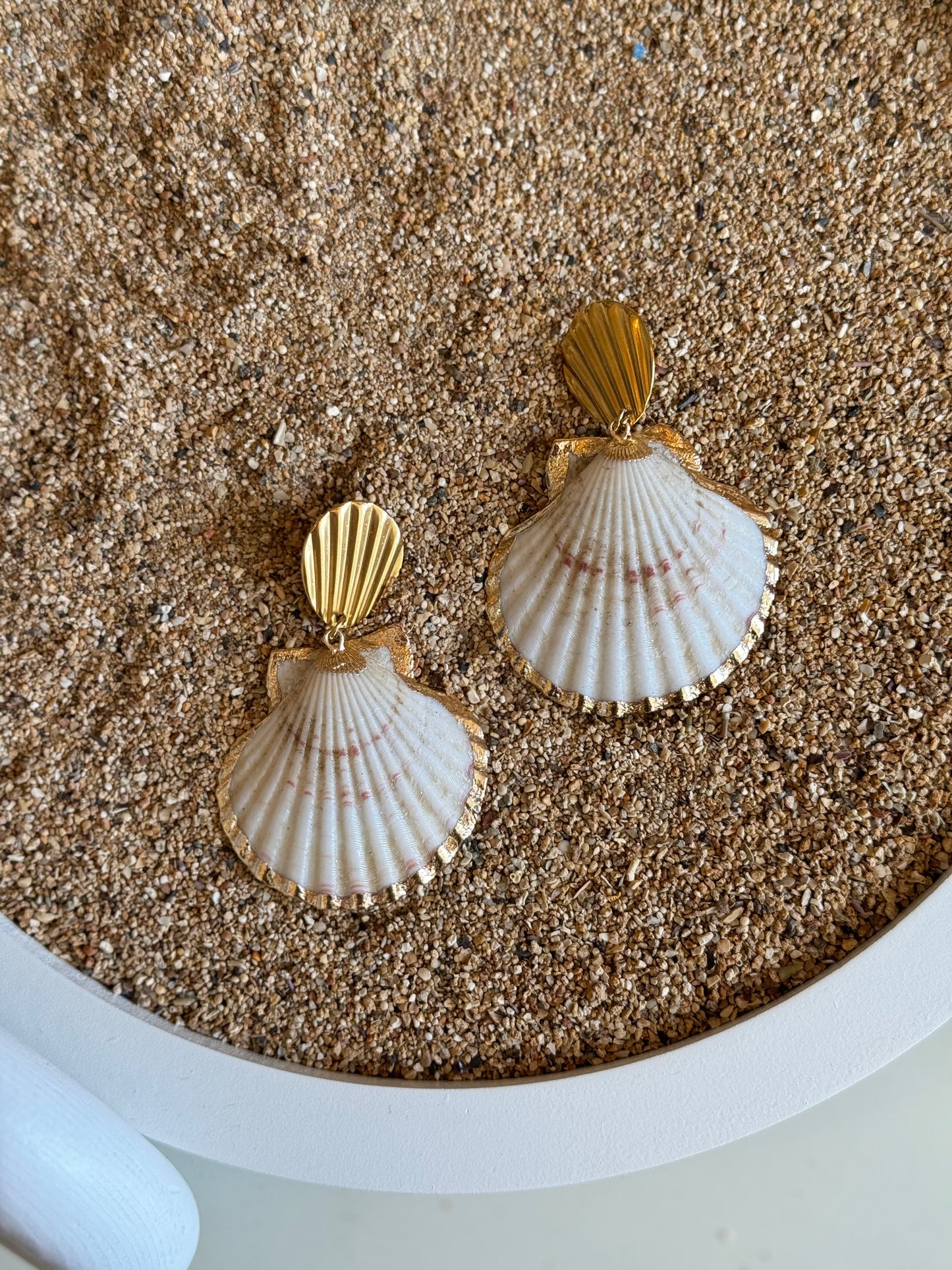 Shell earrings