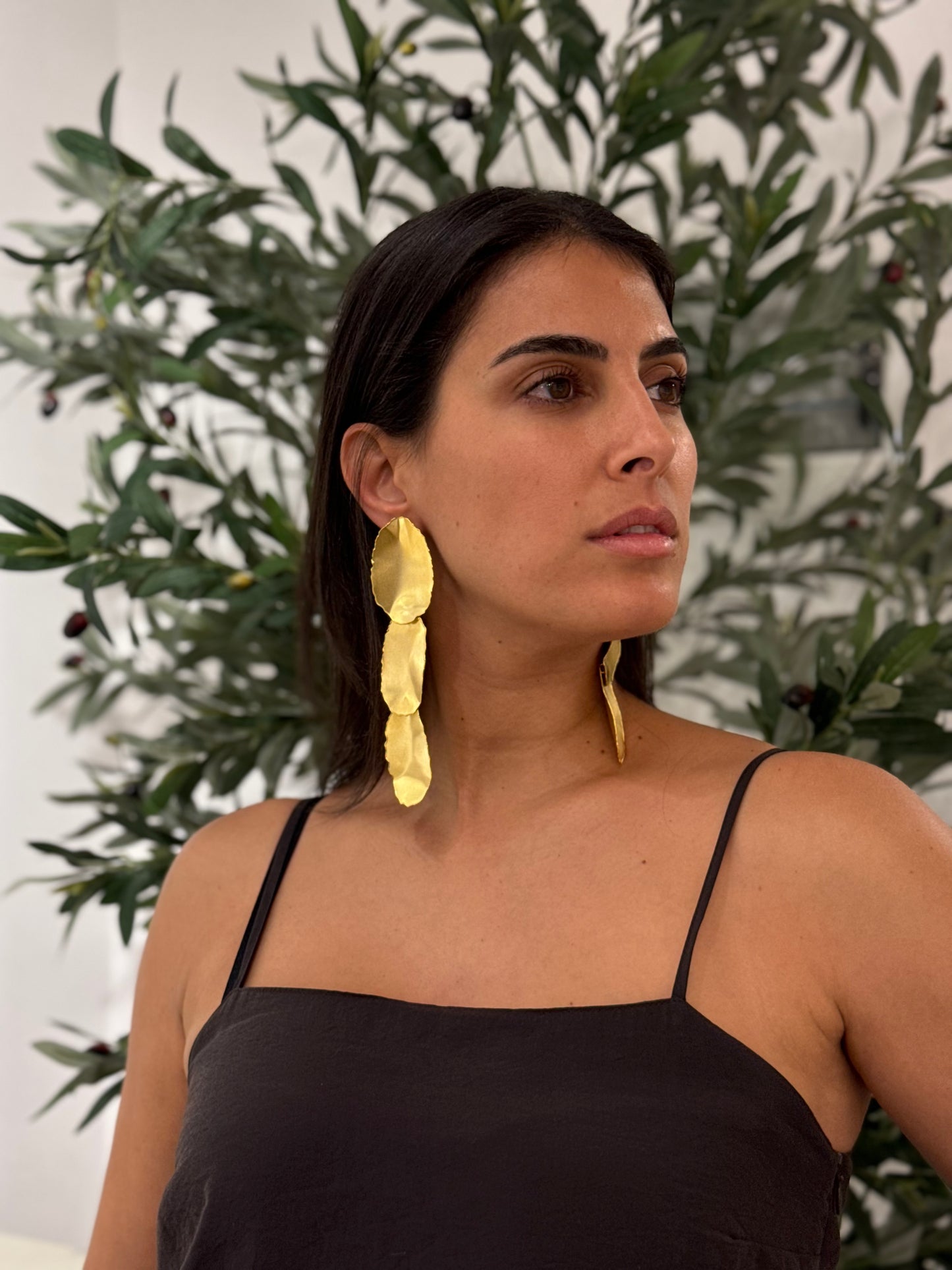 Najwa
